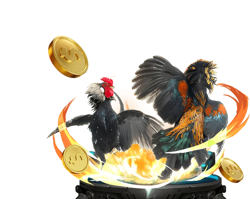 Hình ảnh casino trực tuyến Fun88