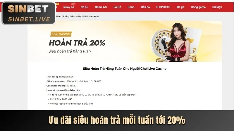 Chương trình VIP VB9